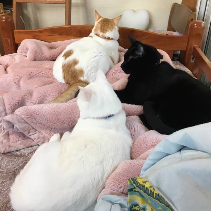 742189ef 3a35 482e a7cd 96ce7eee23fe