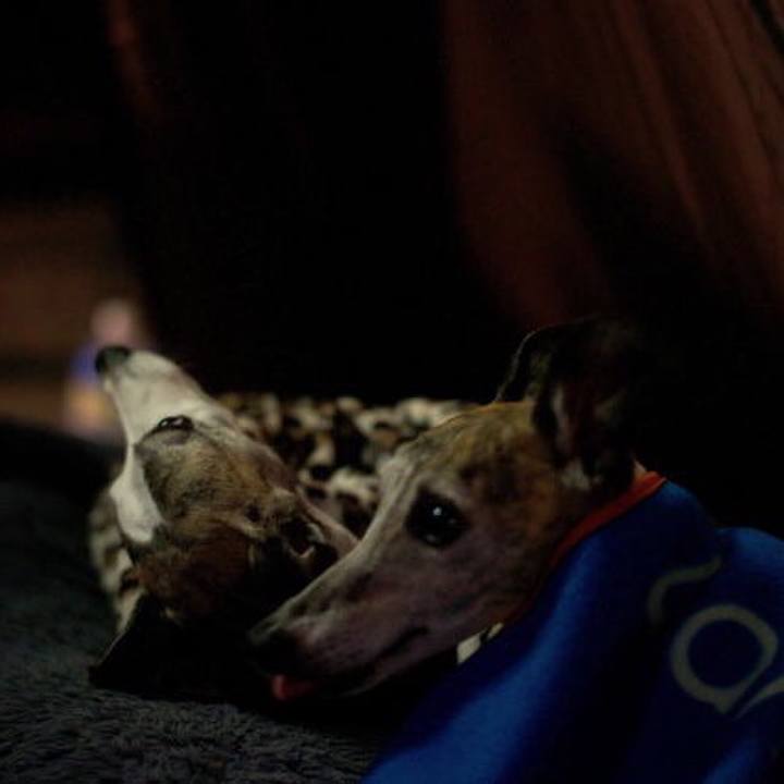 7421efa3 9fb0 425c b894 3af0f85a6f9a