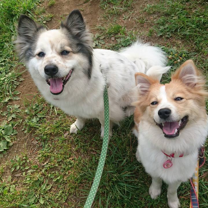 742204b5 09d6 42a9 8f33 92bea095953c