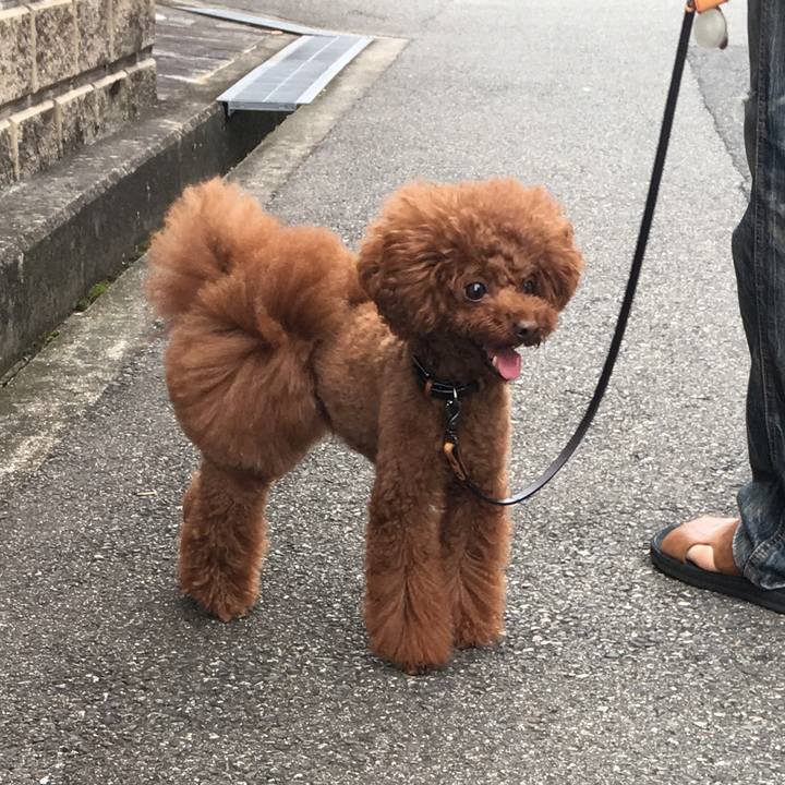 74220ab7 b6c5 491d 9cdb bc7c49fdb68f