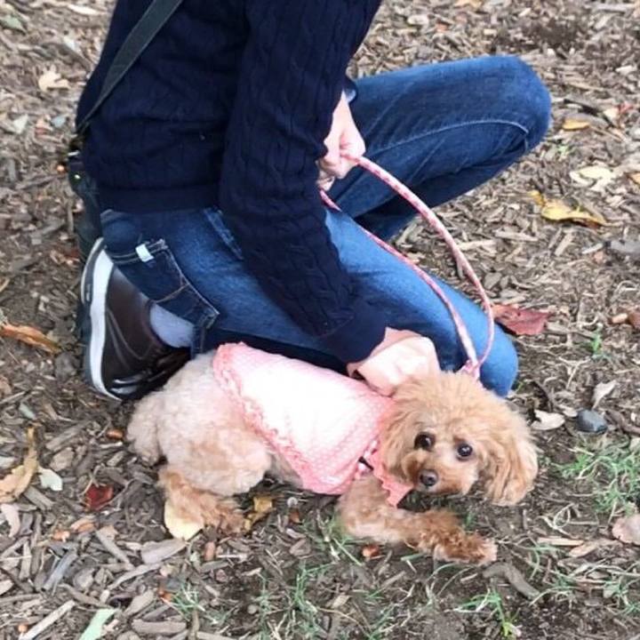 74224bbc 4a64 4a9c 83ef 0d78b4078e79