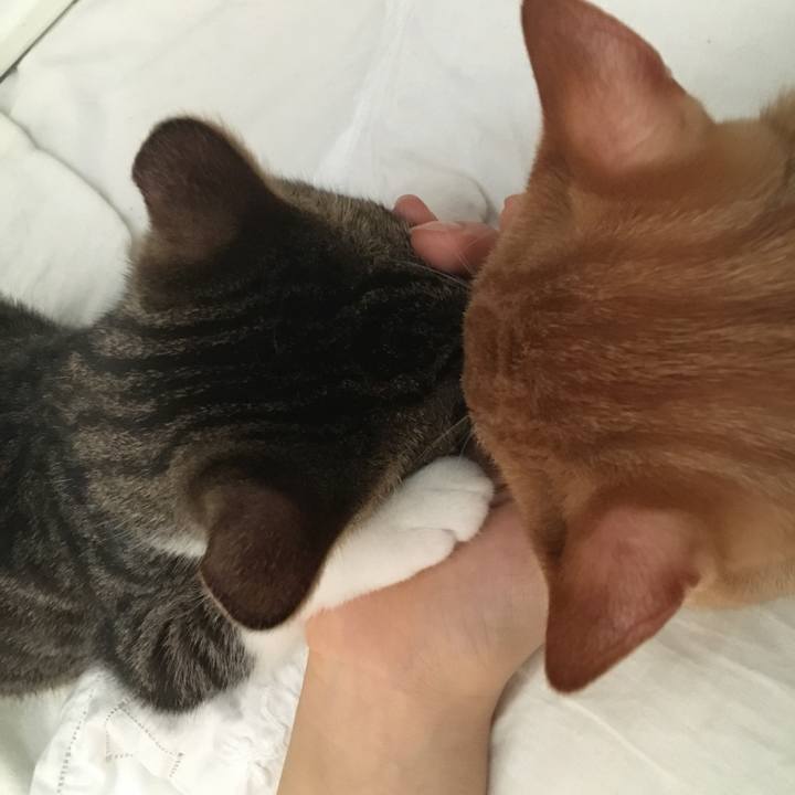 7422ae44 b0e9 420e adf7 0198b5571920