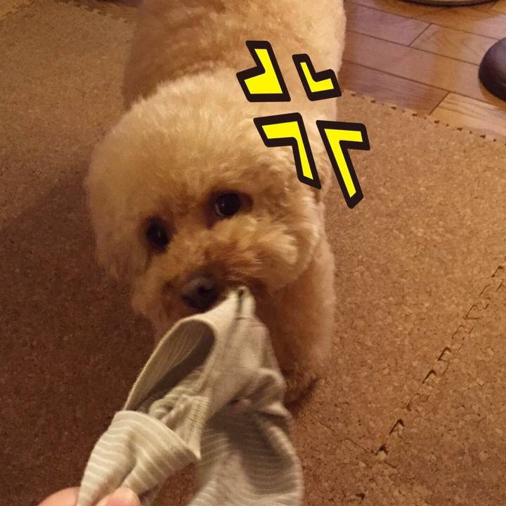 7422d414 710d 4afa 97bd c5ee003277cf