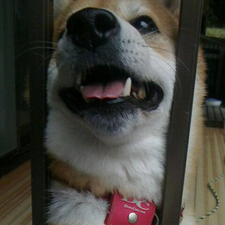 74234486 193c 44ec a30b 5e85396c239b