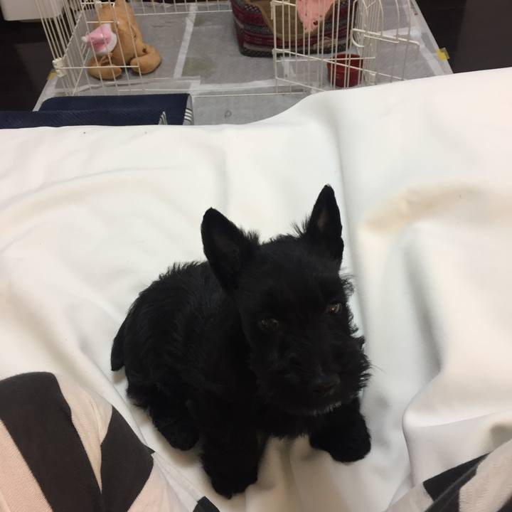 7423b8f7 531e 4dc3 9a72 b807ff189db0