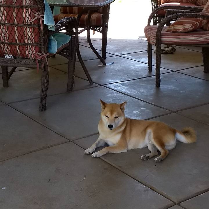 7423e3aa 69a3 46d4 a849 b6cc5853cb2d