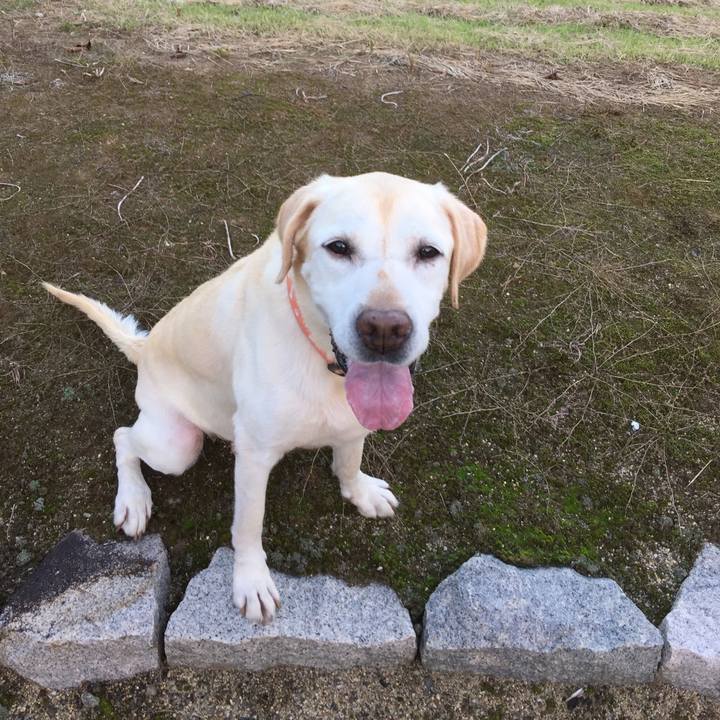 74244595 c27d 4176 810f 3880ff8d7189