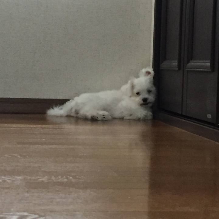 74246c0b d297 4bbd 8132 5455549861df