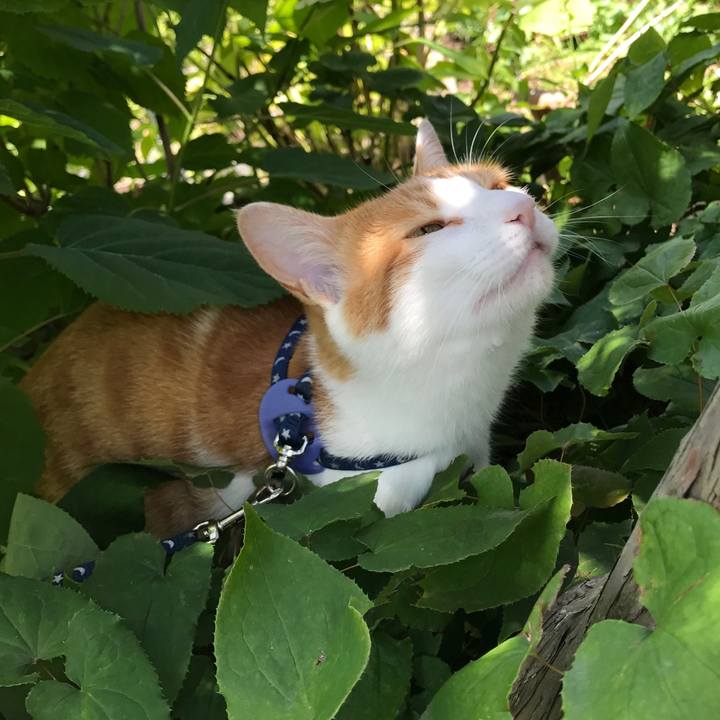 7424e5d8 c3fa 4434 9dce 6fbf061b0cff