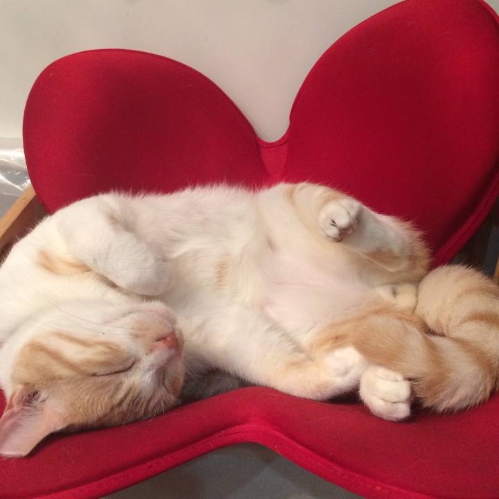 7424ec39 c745 419d 9263 3929c623cd92