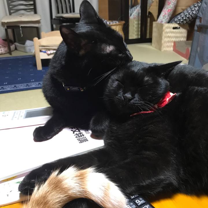 74250925 3502 4365 b348 eaa0f65afeca