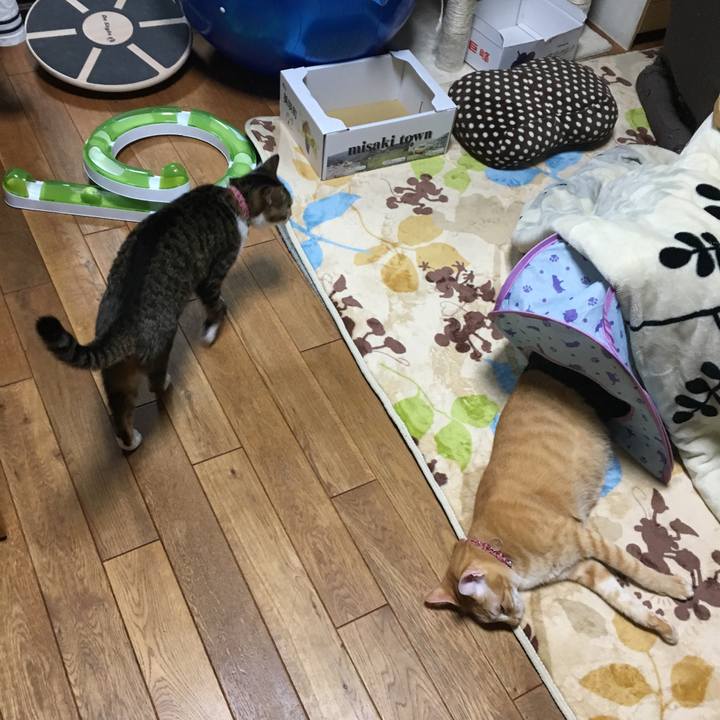 742511ae 2fad 4ac0 bdcb be2b8e0559b5