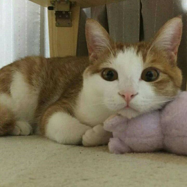 7426152b 8126 4e2b a8ec 5787d50026ee