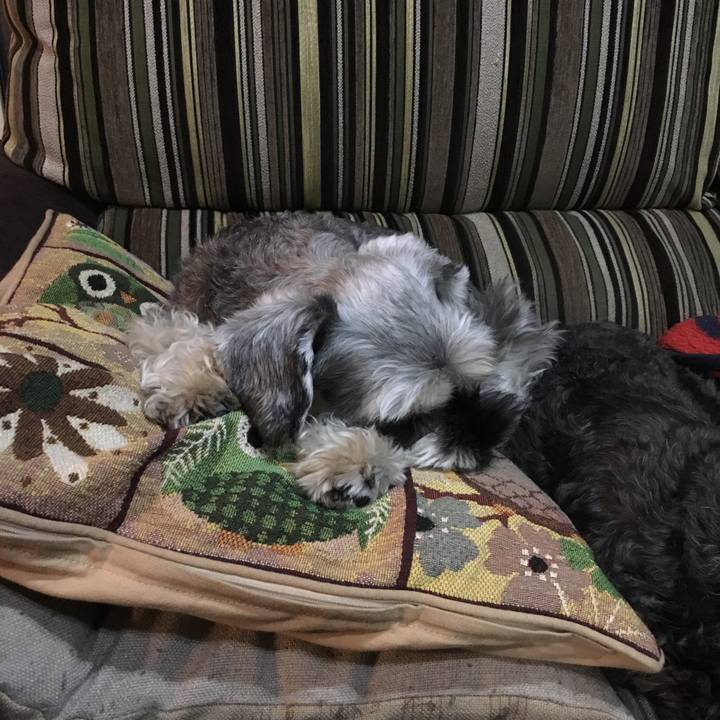 742636f6 1207 45ef b4e7 e77e27bb206d