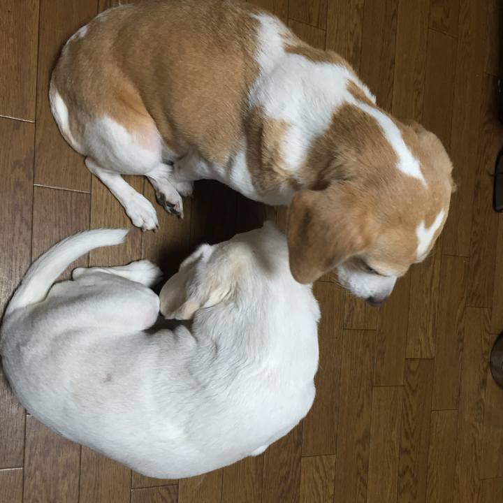 74263eb3 8413 4501 8e71 2513bcc5eb83