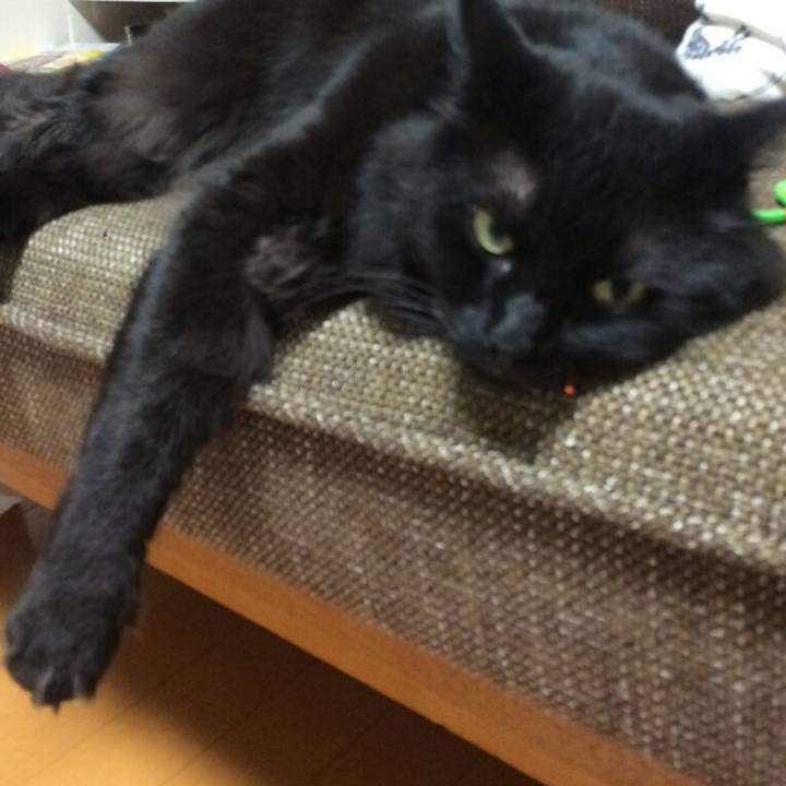 7426db30 bdf0 4bdb aa12 b5083c554e8f