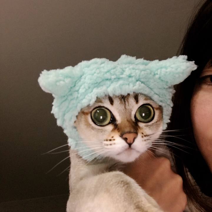 74275791 1f96 47b8 834b 411de120a378