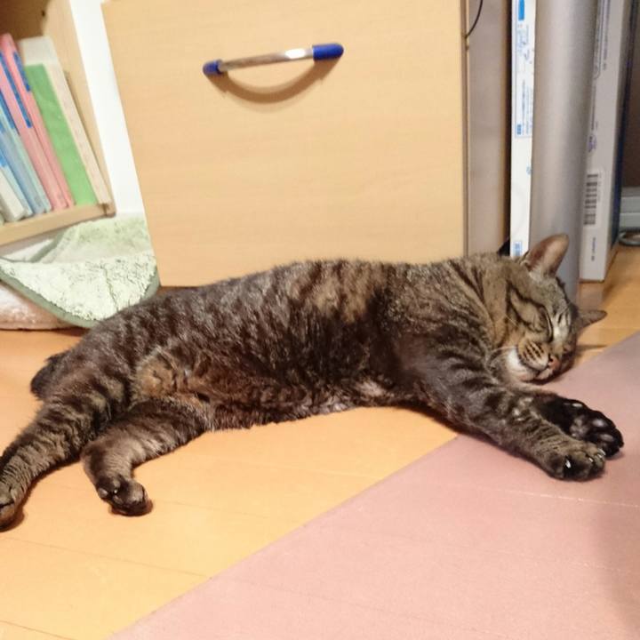 7427be3e 0b50 422b b3df a40e6dc3a84f