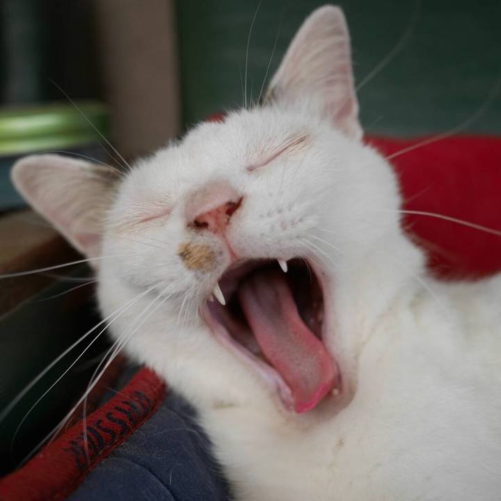 7427f108 428b 4f2c 8e6b b7d8f7100f0e