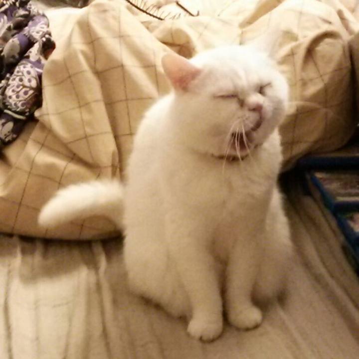 74281341 e5c1 40d8 92de 0577184e1053