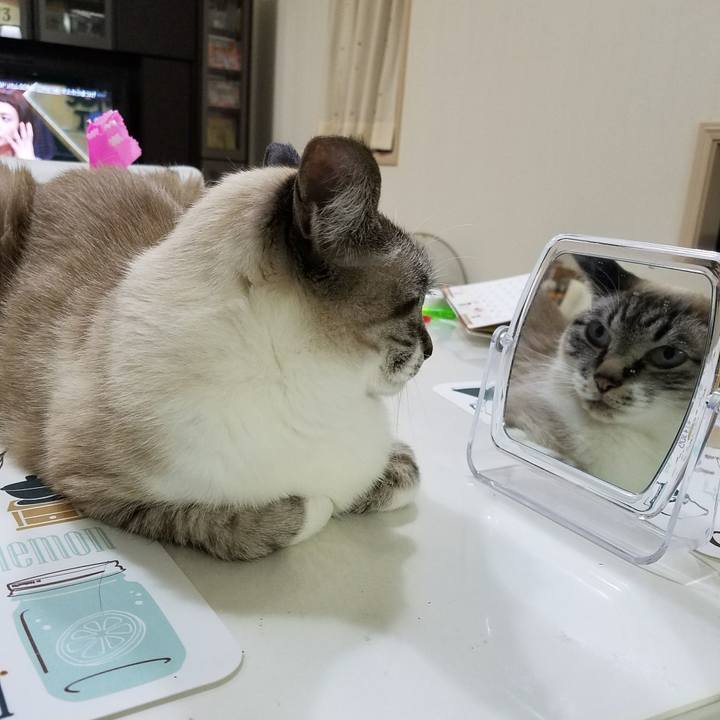 74282f6a 949a 47de 96c8 441bbe232f3b