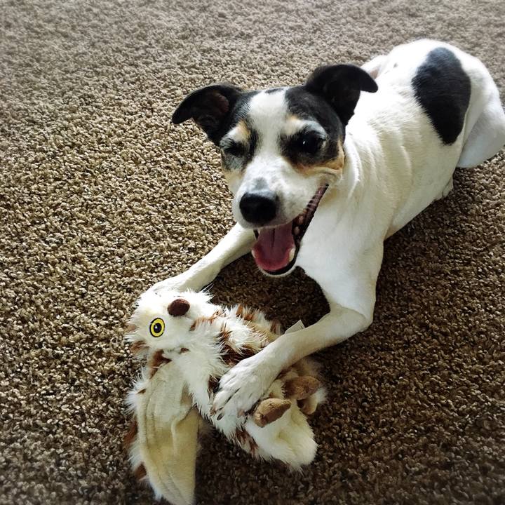 7428b481 e2cd 45da a2f2 9f9b0d351f4b