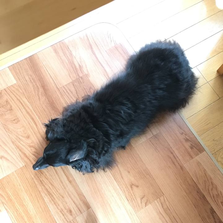 7428b733 2e1d 45bf b2d6 772169b7d5a9