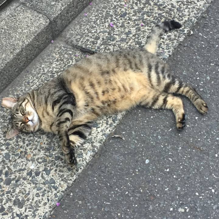 7429fdb3 3fd4 4a53 b54a 49c25084cb3b