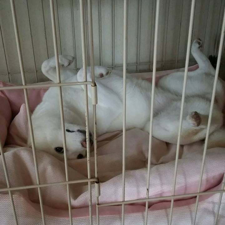 742a64e3 e2c9 4aa7 9062 459a654de0dc