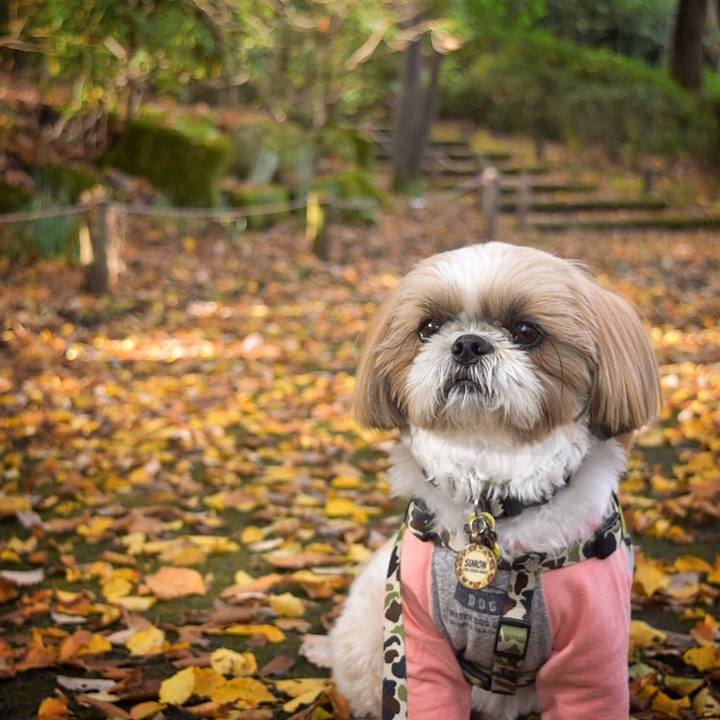 742ab99a d894 40ad ae7c b3fcb9b4f1ac