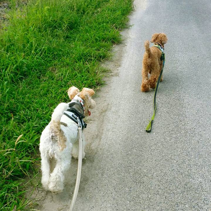 742ae4c6 1c33 48a3 a8f6 b471ec3b3463