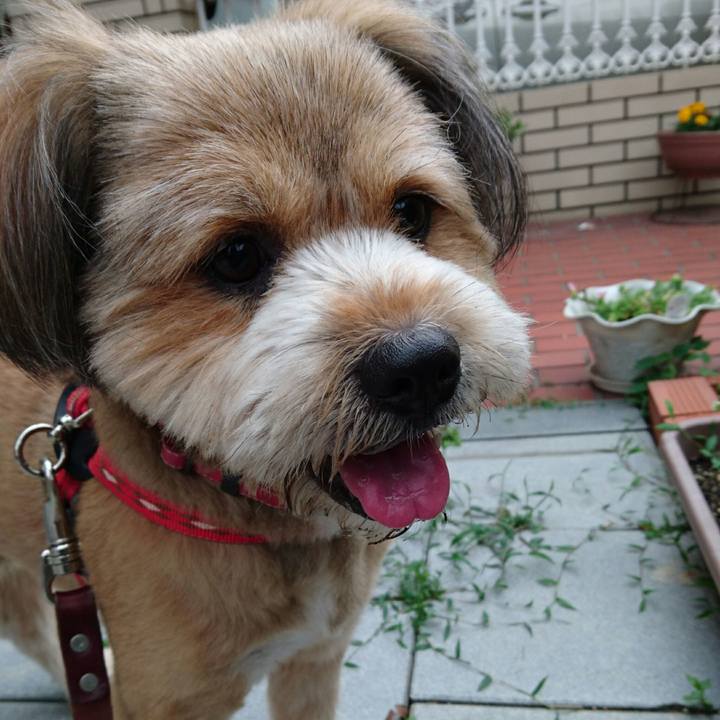 742b07b9 d875 4b7a a9ec 8bd18a5fc41d