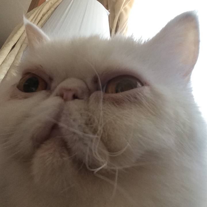 742b7bc2 08c1 4835 8ea5 c692db59ce86