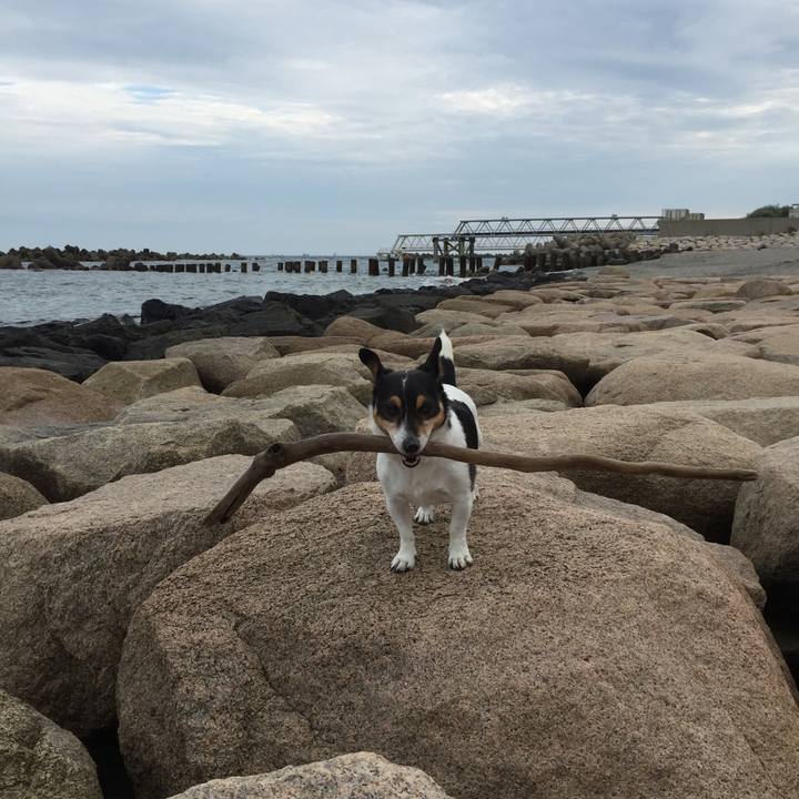 742b96a3 a4c2 4f6e b472 e620f0a13892