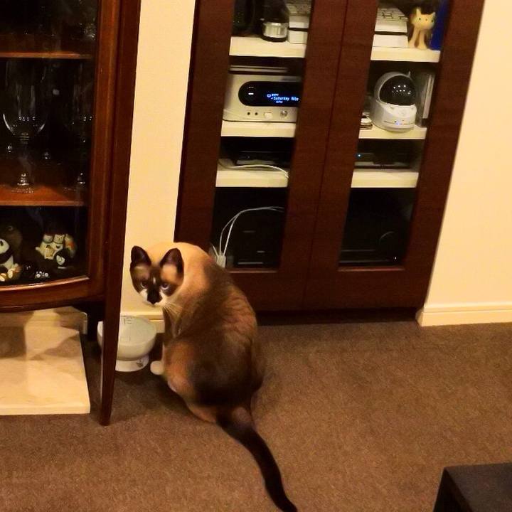 742baa64 ab2b 4eea aac0 3e9e1f30da94