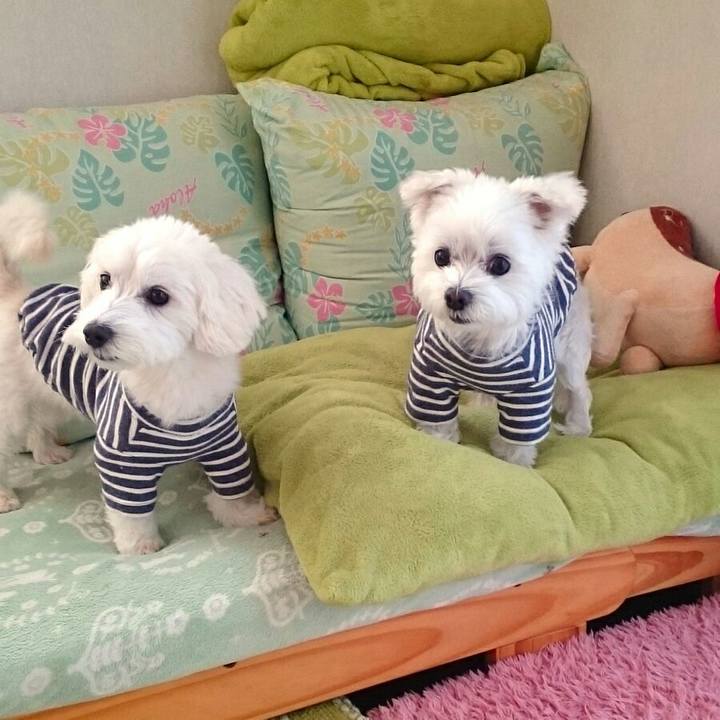 742bcef5 9fad 4916 87f0 eff83a16dc5f