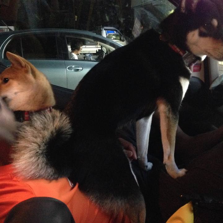 742c349c 1e32 4366 9049 cbdfb8169d02