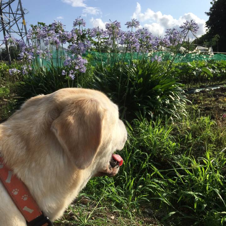 742d31e9 14a0 4d23 90ae b7b154d79cf5