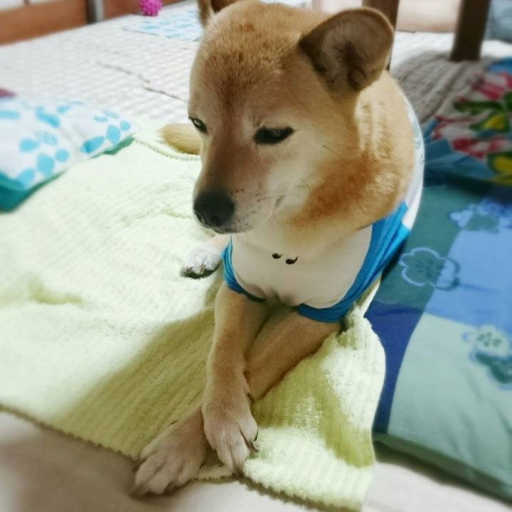 742d99fa ea19 4217 88a4 546e6150045c