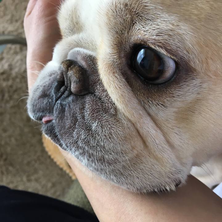 742f13ab dada 4207 8a0f 50aebd0920a9