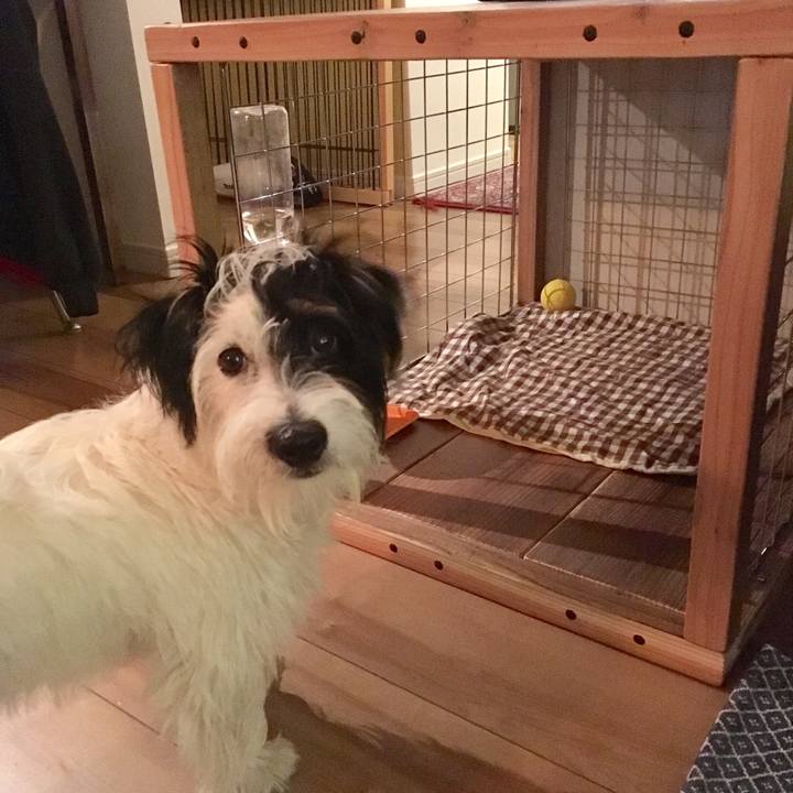 742f4020 49f0 4612 bbda 042f030eb0f1