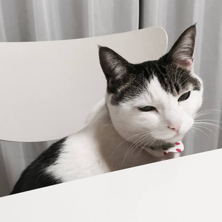 742f43d0 c22f 44ba 8986 cc0e188b995a