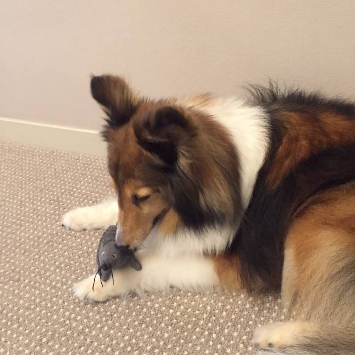 74308b46 2695 4680 b4b5 bb0d3e696dde