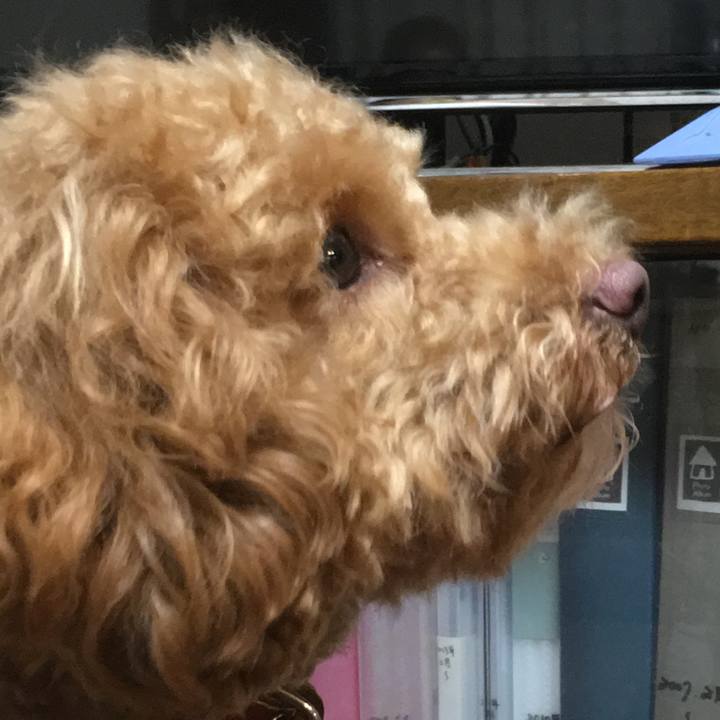 7430a773 a0c6 4dec 98e5 0287a9f9eac5