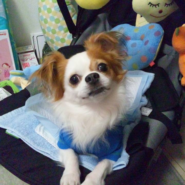 743139fa 79ad 4ef2 a6cb 4520b7f00417