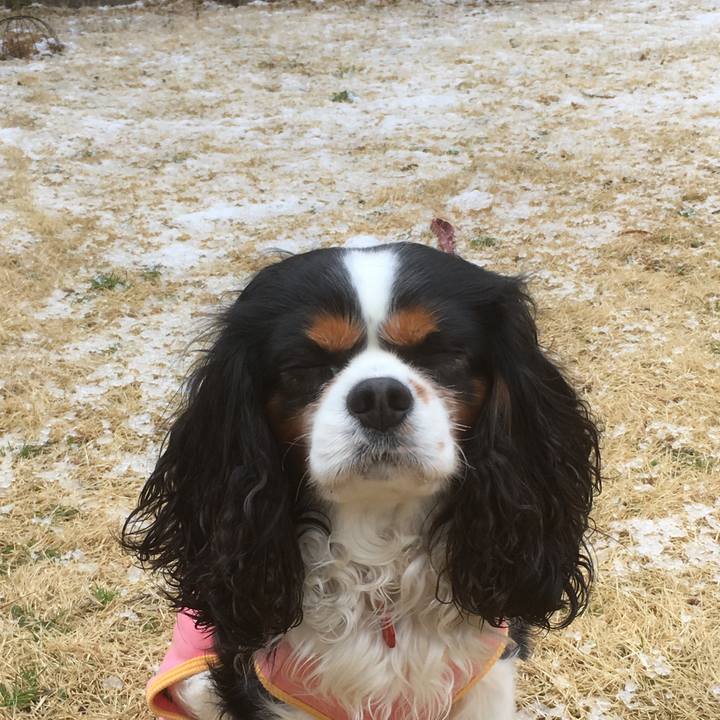 74324360 79c6 4685 aad6 2e7110588abb