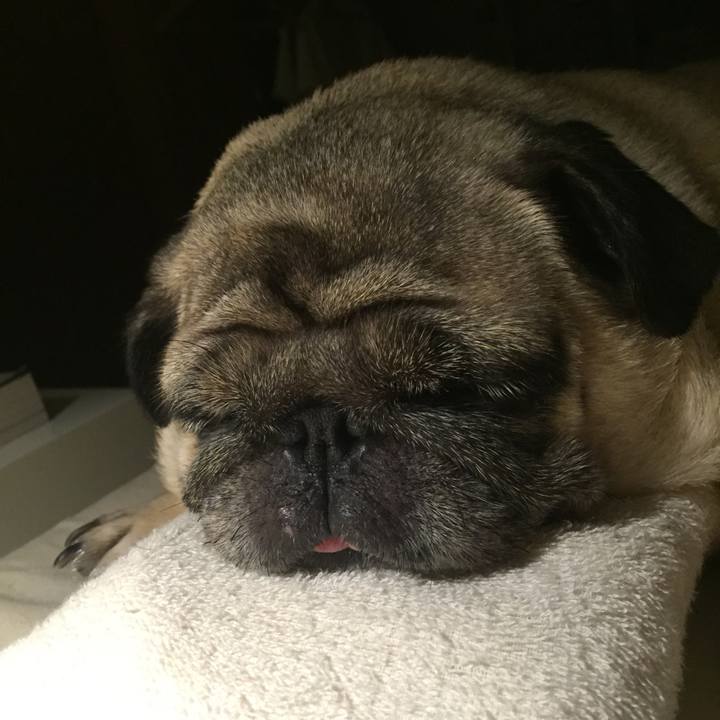 74334fa0 f23f 41d4 ad0a 78edd9b9dca7