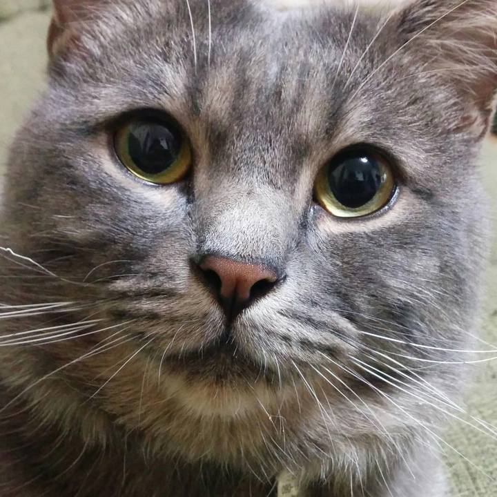 74338876 6751 45a4 827d f0e9d4f8be94