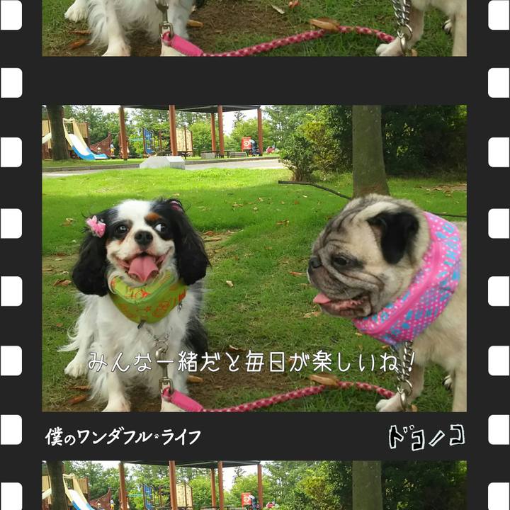 7433f4af 35dd 4bb3 82b2 7d1ba4a661f2