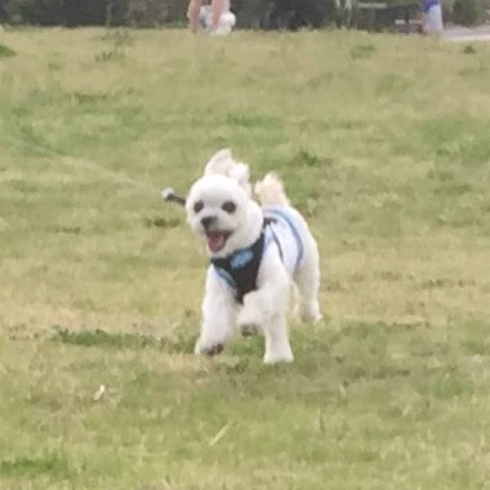 74343d04 eb75 4c27 ad5c a5e76557d7ab